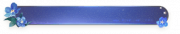 星语·星辰永绽.png