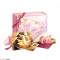 晚潮回荡礼·四.png