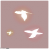 特效·雾蝶.png