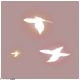 特效·雾蝶.png