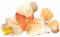 花坠云端.png