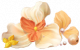 花坠云端.png