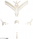服饰-庇世.png