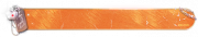 初昼·复苏.png