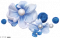 秀丽珠花.png