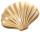 流光贝壳.png