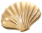 流光贝壳.png