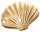 流光贝壳.png