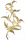 三秋桂.png