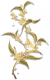 三秋桂.png
