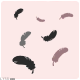 羽毛动效.png