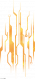 同源辉色.png