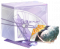 烁月馈礼·三.png