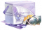 烁月馈礼·四.png
