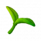 服饰-小豆苗.png
