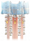 绛纱谣.png