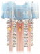 绛纱谣.png