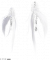 服饰-轻翎浮声.png