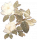 广玉兰.png
