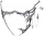 服饰-轻纵.png