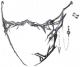 服饰-轻纵.png