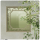 布景·摇青.png