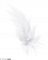 服饰-绒羽缠心.png