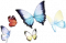 服饰-蝶语纷飞.png