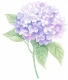 盈彩·绣球.png
