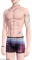 服饰-海岸霓虹.png