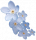 繁花如星.png