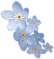 繁花如星.png