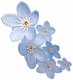 繁花如星.png