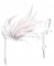 服饰-轻羽.png