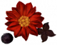 丝绒裱花.png