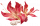 翻糖花朵.png