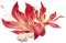 翻糖花朵.png