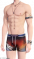 服饰-热带气温.png