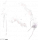 服饰-牵瓣绕情.png