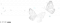 服饰-蝴蝶浪花.png