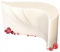 飞掠羽间.png