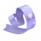 星渚丝带.png