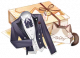 猫茸执事.png