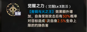 诺顿7.png