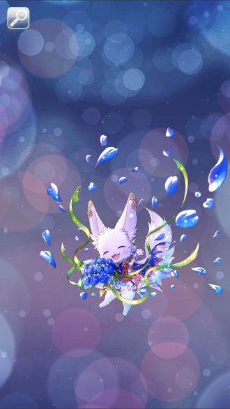 纳比 Dream Bouquet明星.jpg