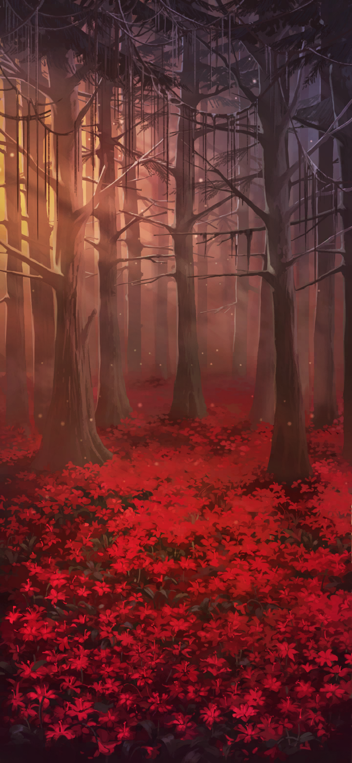 Ozbloomingforest bg 2.png