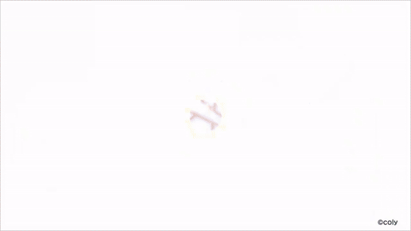 Kc skill 602.gif