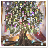 Home bg icon 157.png
