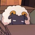 Lamb-11