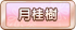 月桂樹
